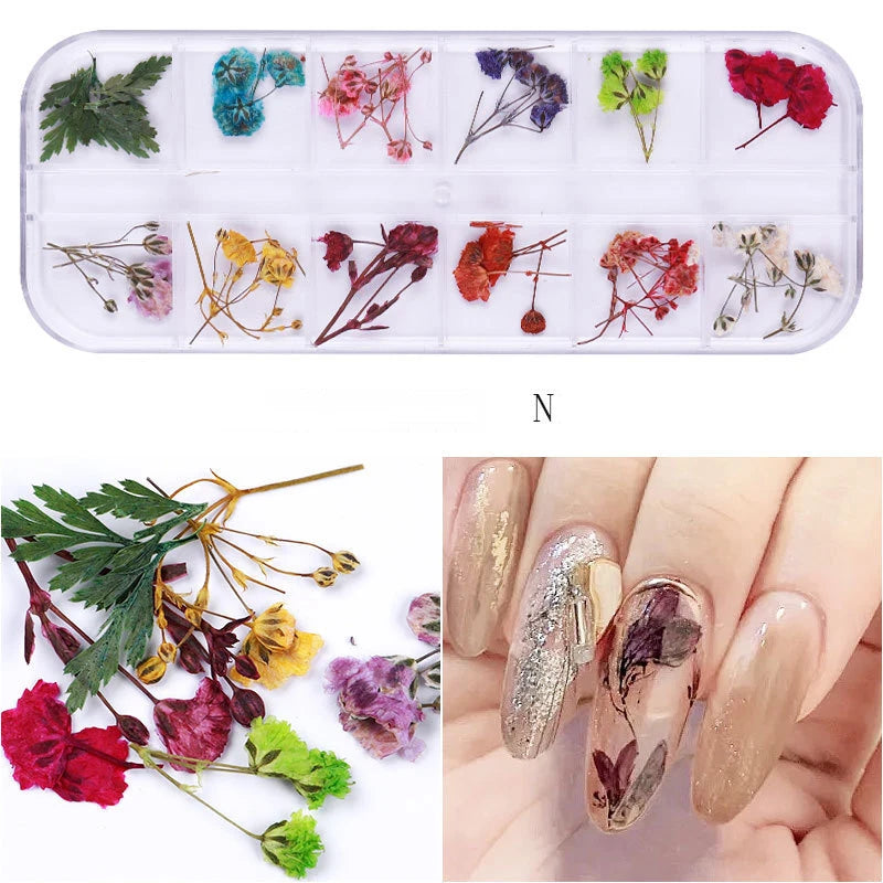  Mix Dried Flowers Nail Decorations - N by OTHER sold by DTK Nail Supply