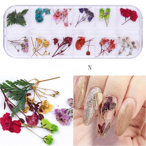  Mix Dried Flowers Nail Decorations - N by OTHER sold by DTK Nail Supply