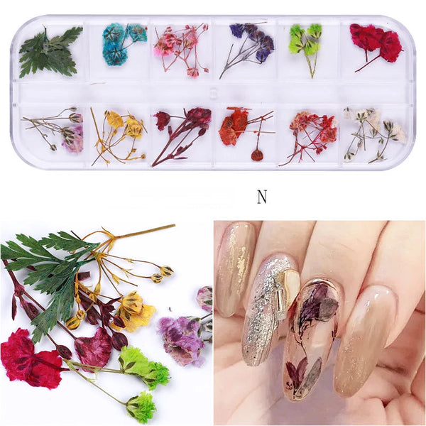  Mix Dried Flowers Nail Decorations - N by OTHER sold by DTK Nail Supply