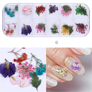 Mix Dried Flowers Nail Decorations - O