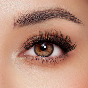  A’dor Beauty DIY Eyelash Extension Box 5 by Beauty sold by DTK Nail Supply