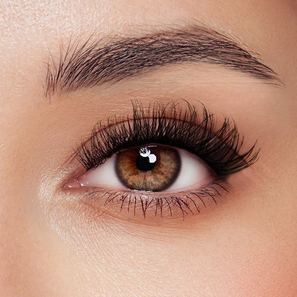  A’dor Beauty DIY Eyelash Extension Box 19 by Beauty sold by DTK Nail Supply