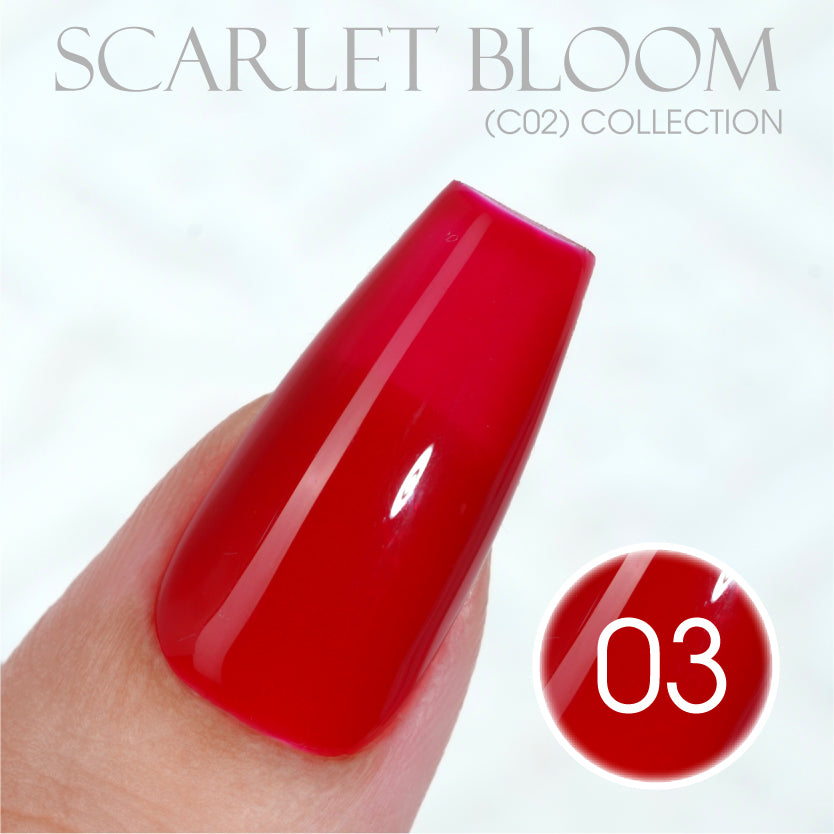 LAVIS C02 - Set 24 Colors - Gel Polish 0.5 oz - Scarlet Bloom Collection by LAVIS NAILS sold by DTK Nail Supply