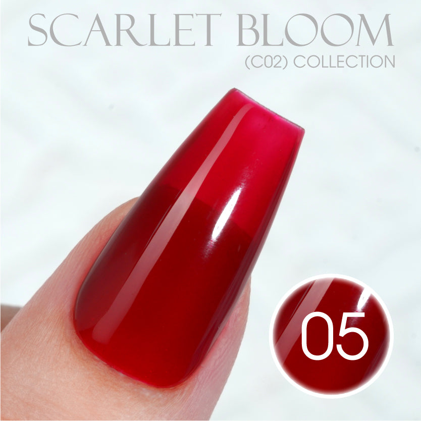 LAVIS C02 - Set 24 Colors - Gel Polish 0.5 oz - Scarlet Bloom Collection by LAVIS NAILS sold by DTK Nail Supply