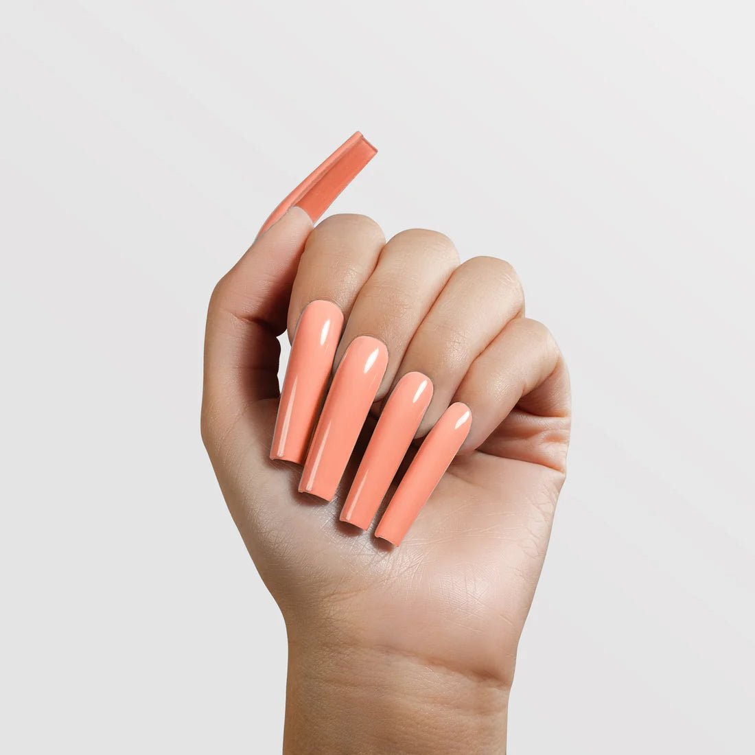 CHAUN LEGEND Acrylic Powder - A136 Piece of Pie - DTK Nail Supply