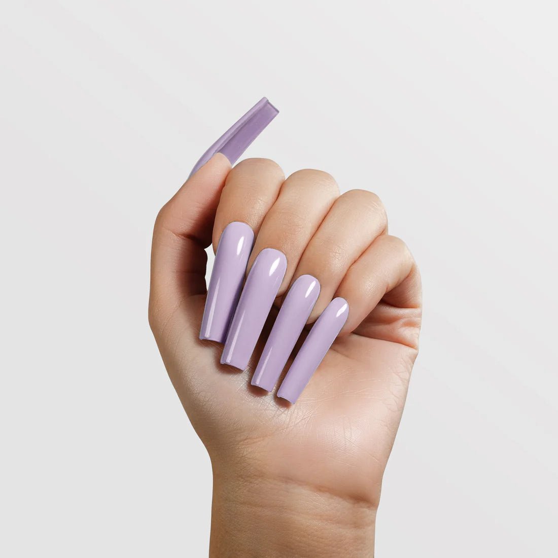 CHAUN LEGEND Acrylic Powder - A145 Ube Jam - DTK Nail Supply