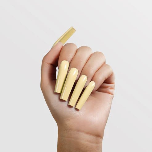 CHAUN LEGEND Acrylic Powder - A146 Let it Bee - DTK Nail Supply