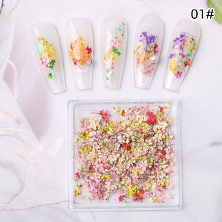 1 Box Natural Real Dry Flower Charm - S220-01