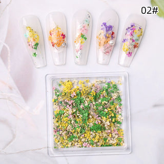 1 Box Natural Real Dry Flower Charm - S220-02