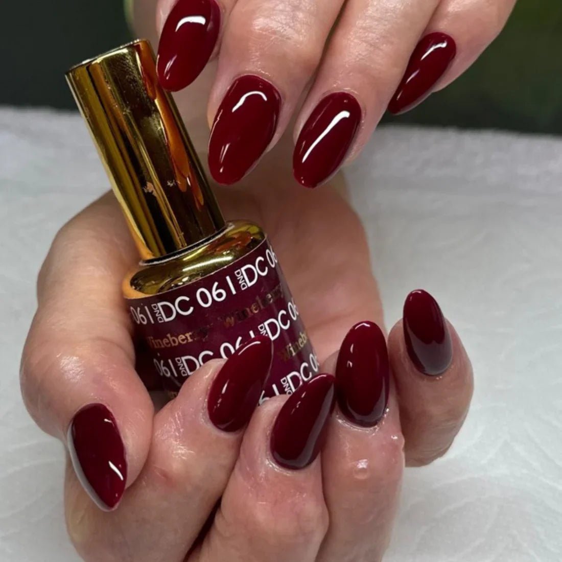 DC Gel Basic Kit - 061 Wine Berry & Nail Lamp - DTK Nail Supply