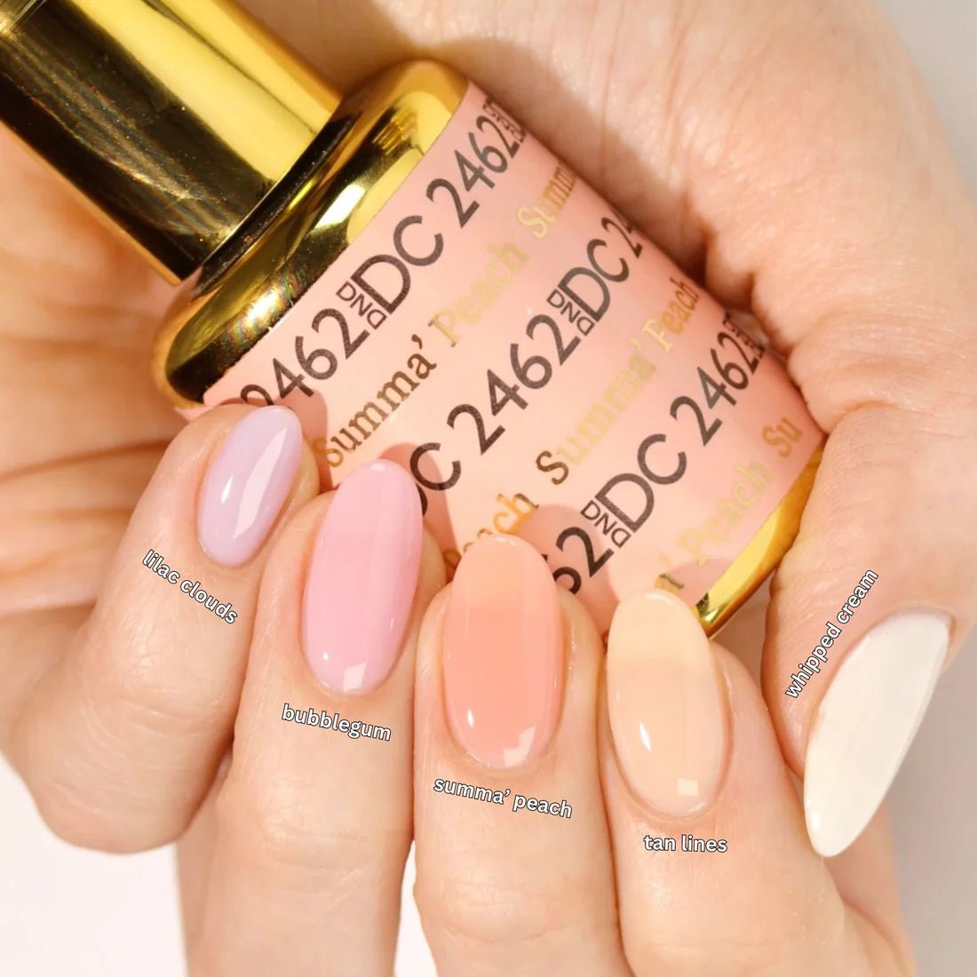 DND DC Part 13 Gel Polish - Set of 29 Colors Sheer Collection - DTK Nail Supply