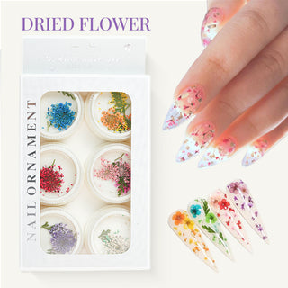 6 Dried Flowers for Nail Art Decoration