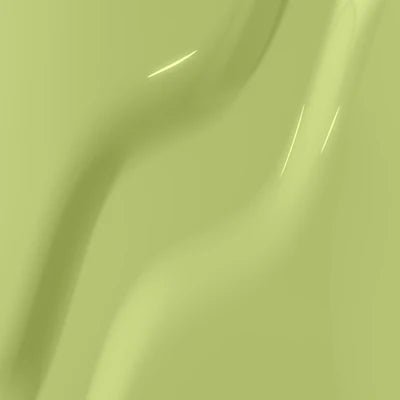 Kiara Sky Gel Pro Polish - 042 Pistachio Pop - DTK Nail Supply