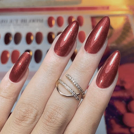 LAVIS C02 - 12 - Gel Polish 0.5 oz - Scarlet Bloom Collection - DTK Nail Supply