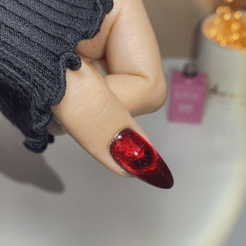 LAVIS C02 (Ver2) - 19 - Gel Polish 0.5 oz - Scarlet Bloom Collection - DTK Nail Supply