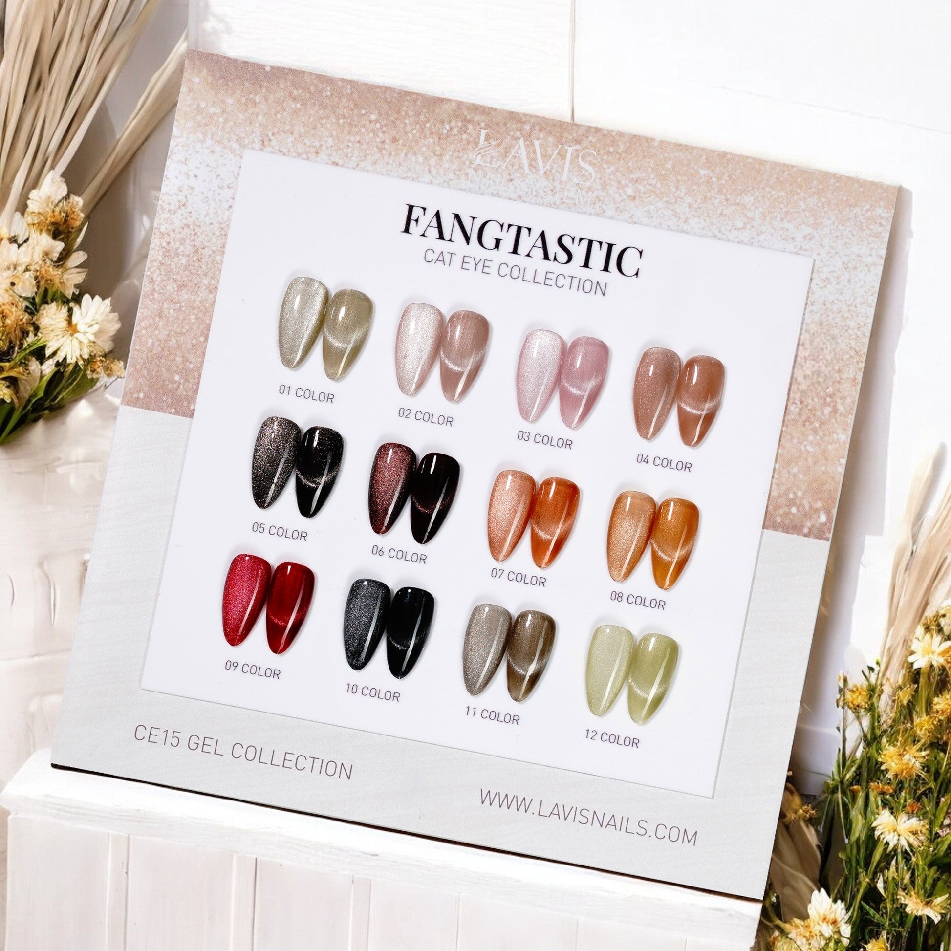 Lavis Cat Eye Set 12 Colors - FG - DTK Nail Supply