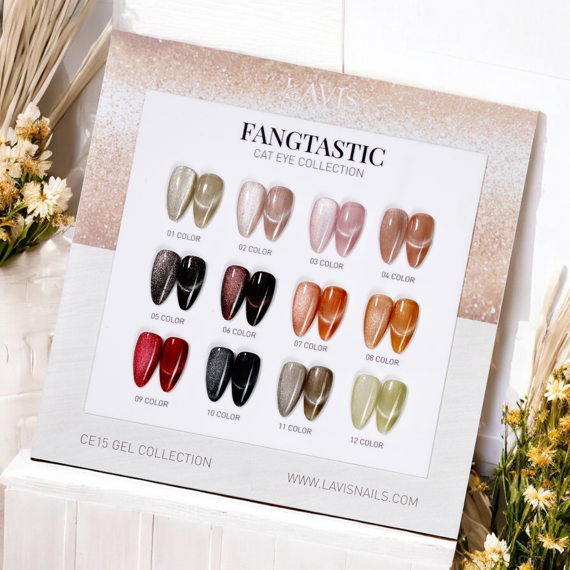 Lavis Cat Eye Set 12 Colors - FG - DTK Nail Supply