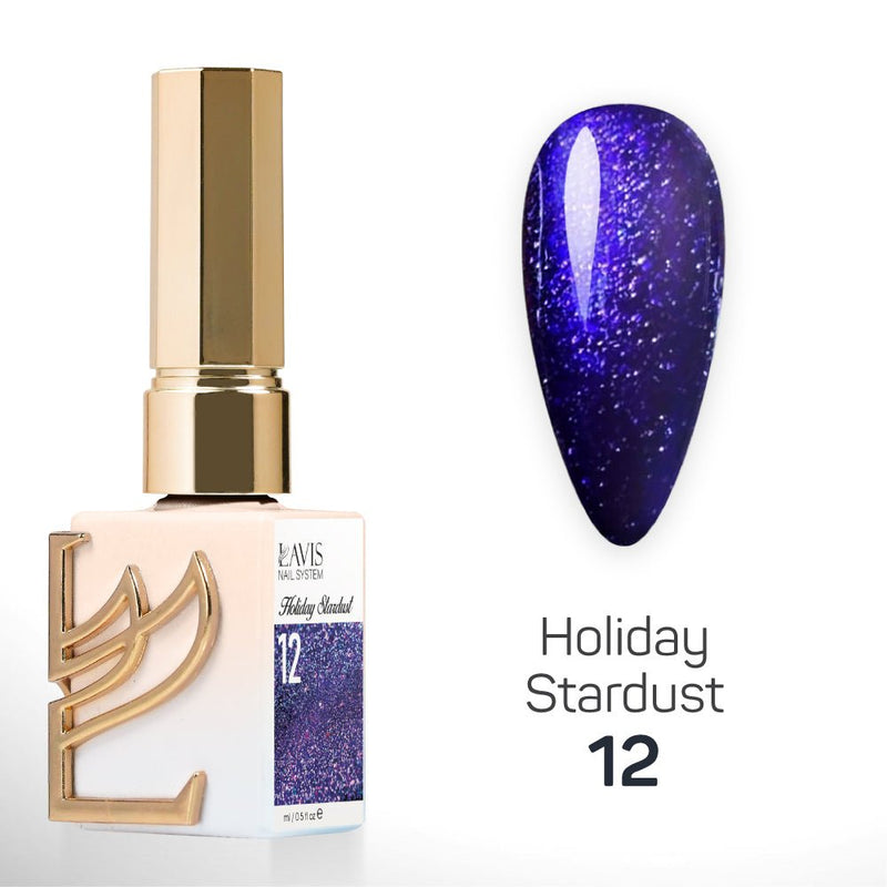 LAVIS Glitter Set 12 Colors - Gel Polish 0.5 oz - Holiday Stardust Collection - DTK Nail Supply