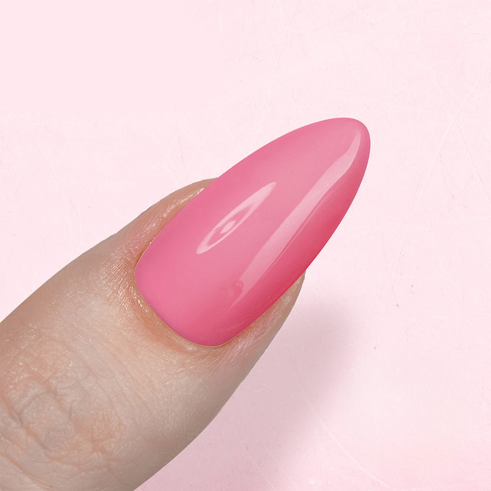 LAVIS Set 24 Colors Gel Pink Collection - DTK Nail Supply