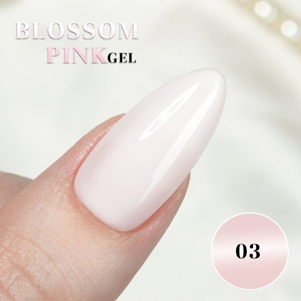 LDS BP Set 12 Colors - Blossom Pink Collection - DTK Nail Supply