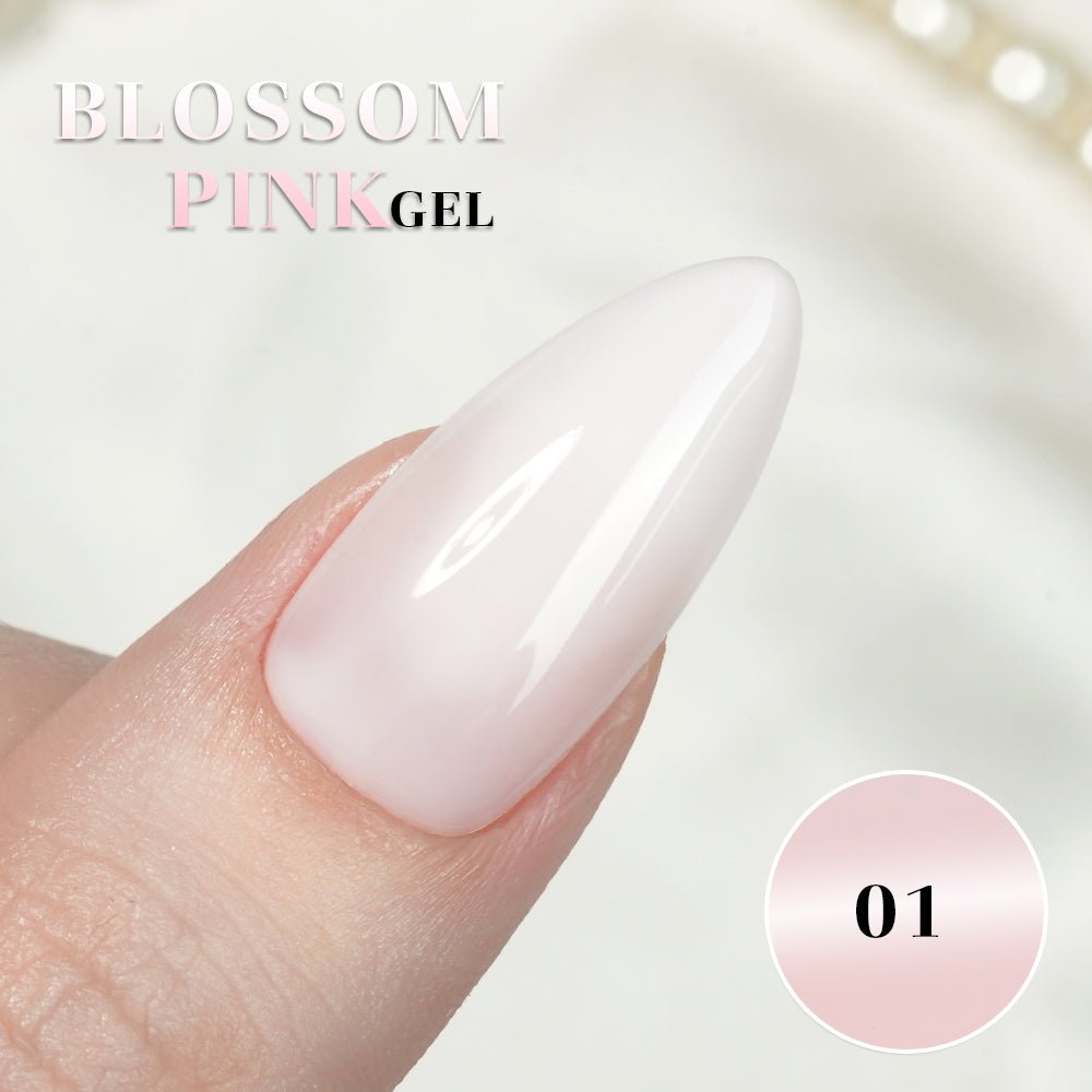 LDS BP Set 12 Colors - Blossom Pink Collection - DTK Nail Supply
