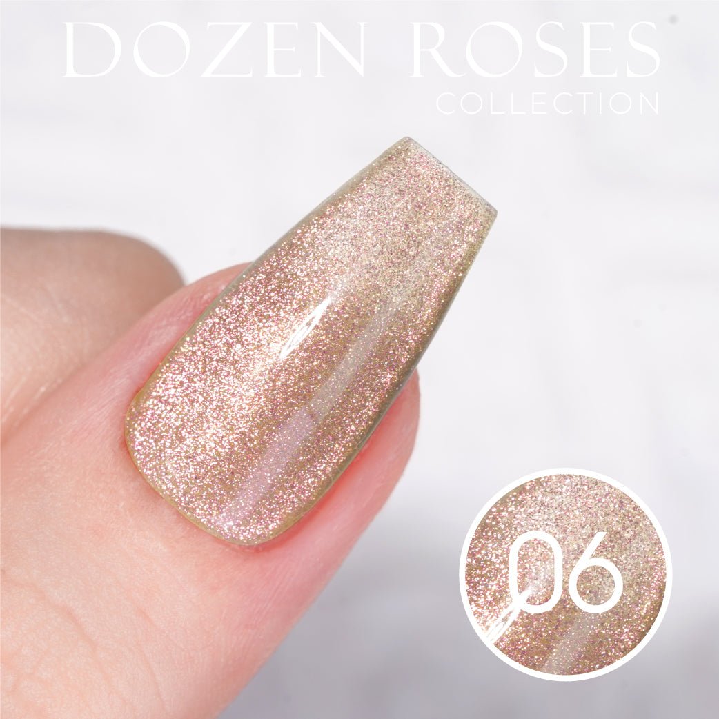 LDS DR 12 Colors - Gel Polish 0.5 oz - Dozen Roses Collection - DTK Nail Supply