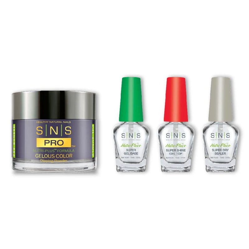 SNS Dip Powder Combo - Liquid Set & 124 - WW30 - PLUM PUDDING - DTK Nail Supply