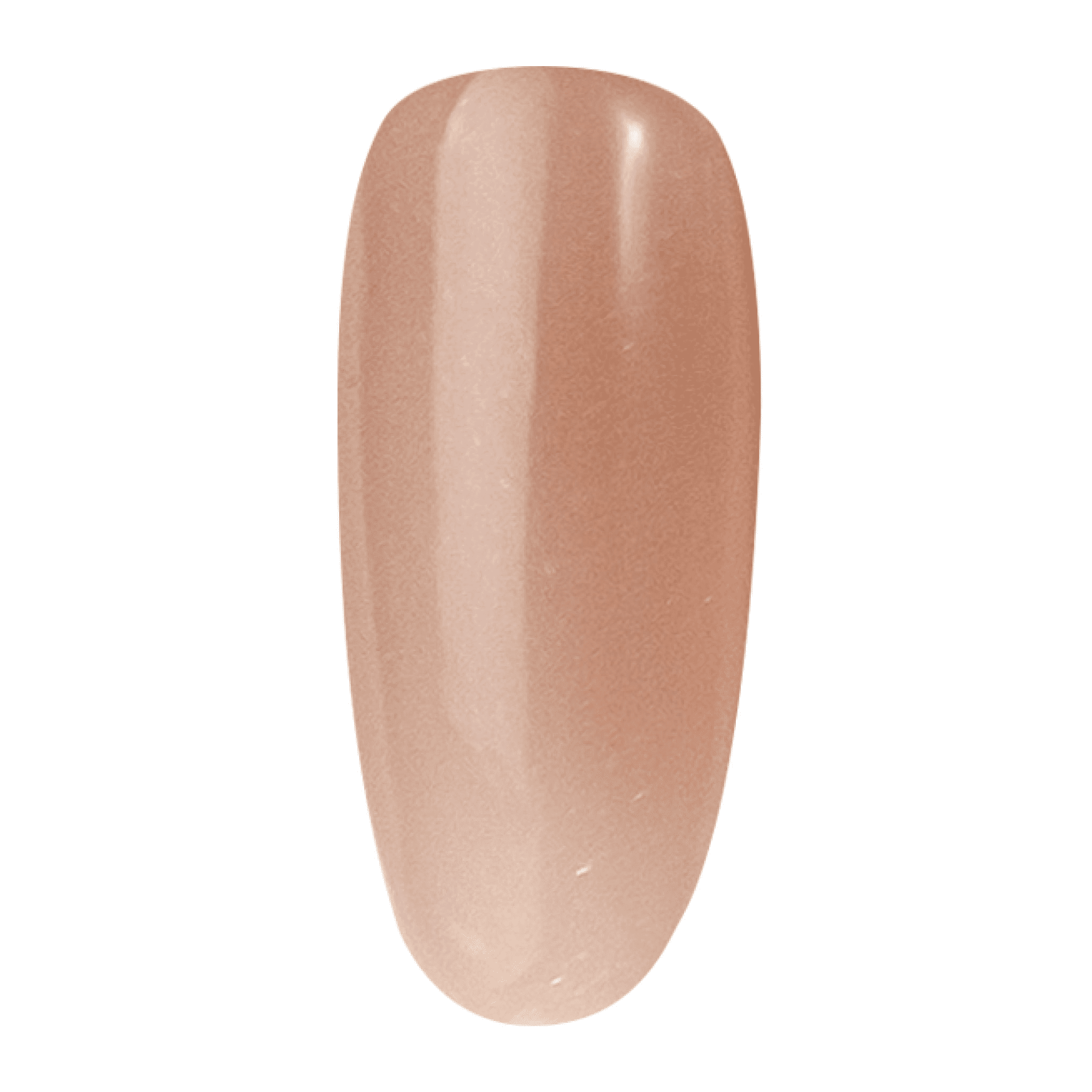 SNS Pro 4 - in - 1 Pink - 019 BM - 08 - Dip, Gel & Lacquer Matching - DTK Nail Supply