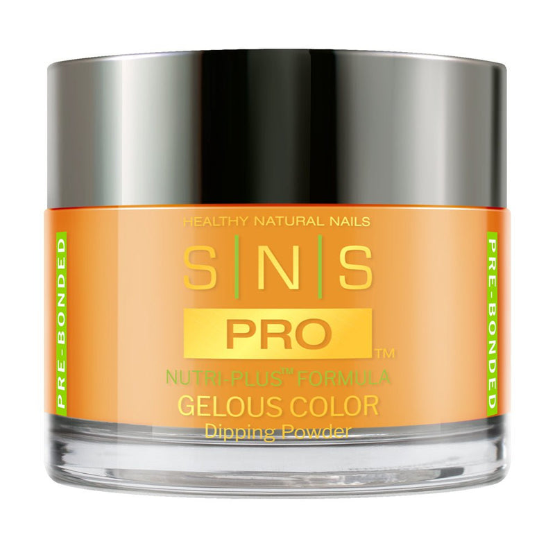 SNS Pro 4 - in - 1 Pink - 079 GW - 09 - Dip, Gel & Lacquer Matching - DTK Nail Supply