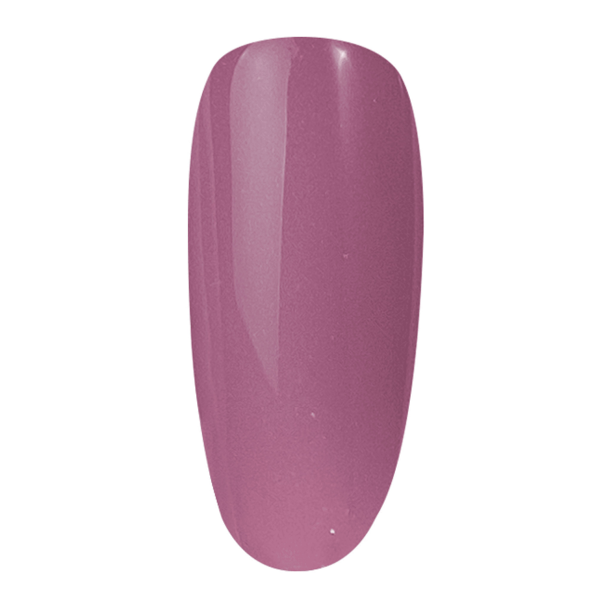 SNS Pro 4 - in - 1 Pink - 102 AC - 31 - Dip, Gel & Lacquer Matching - DTK Nail Supply