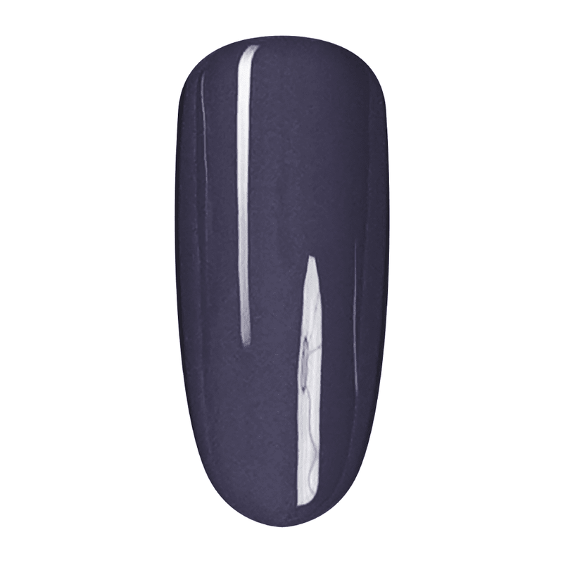 SNS Pro 4 in 1 Tiffany Blue - 124 WW - 30 PLUM PUDDING - Dip, Gel & Lacquer Matching - DTK Nail Supply
