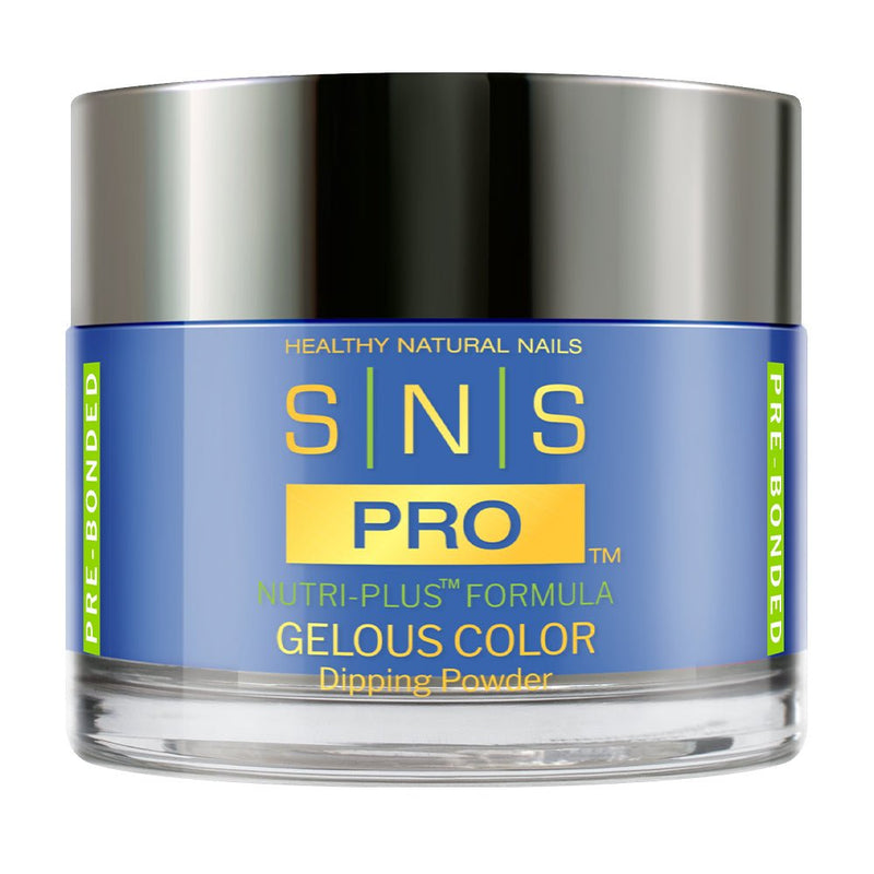 SNS Pro Dipping Powder - Burgundy Collection - 029 BM16 - HYACINTH - DTK Nail Supply