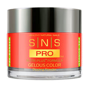 SNS Pro Dipping Powder - Burgundy Collection - 096 LV07 - PALAIS - DTK Nail Supply
