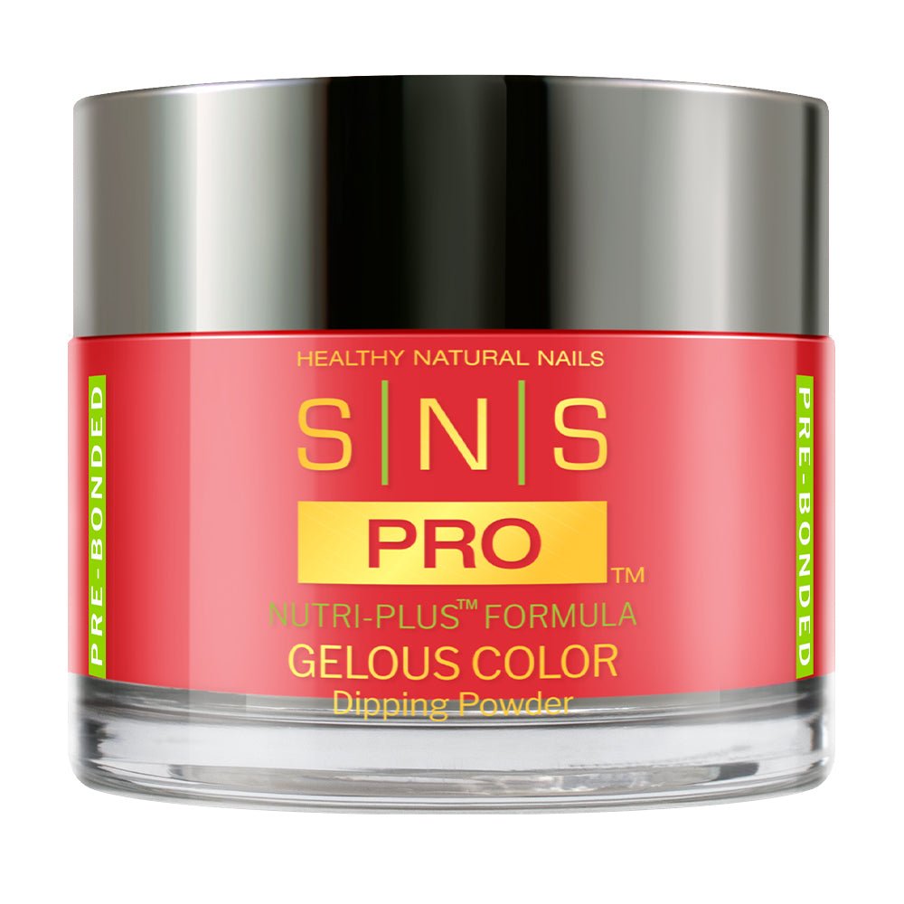 SNS Pro Dipping Powder - Burgundy Collection - 113 BD03 - ASTILBE - DTK Nail Supply