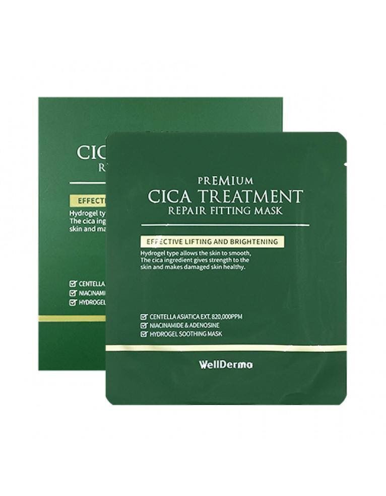 WellDerma Premium Cica Treatment Repair Fitting Mask - DTK Nail Supply