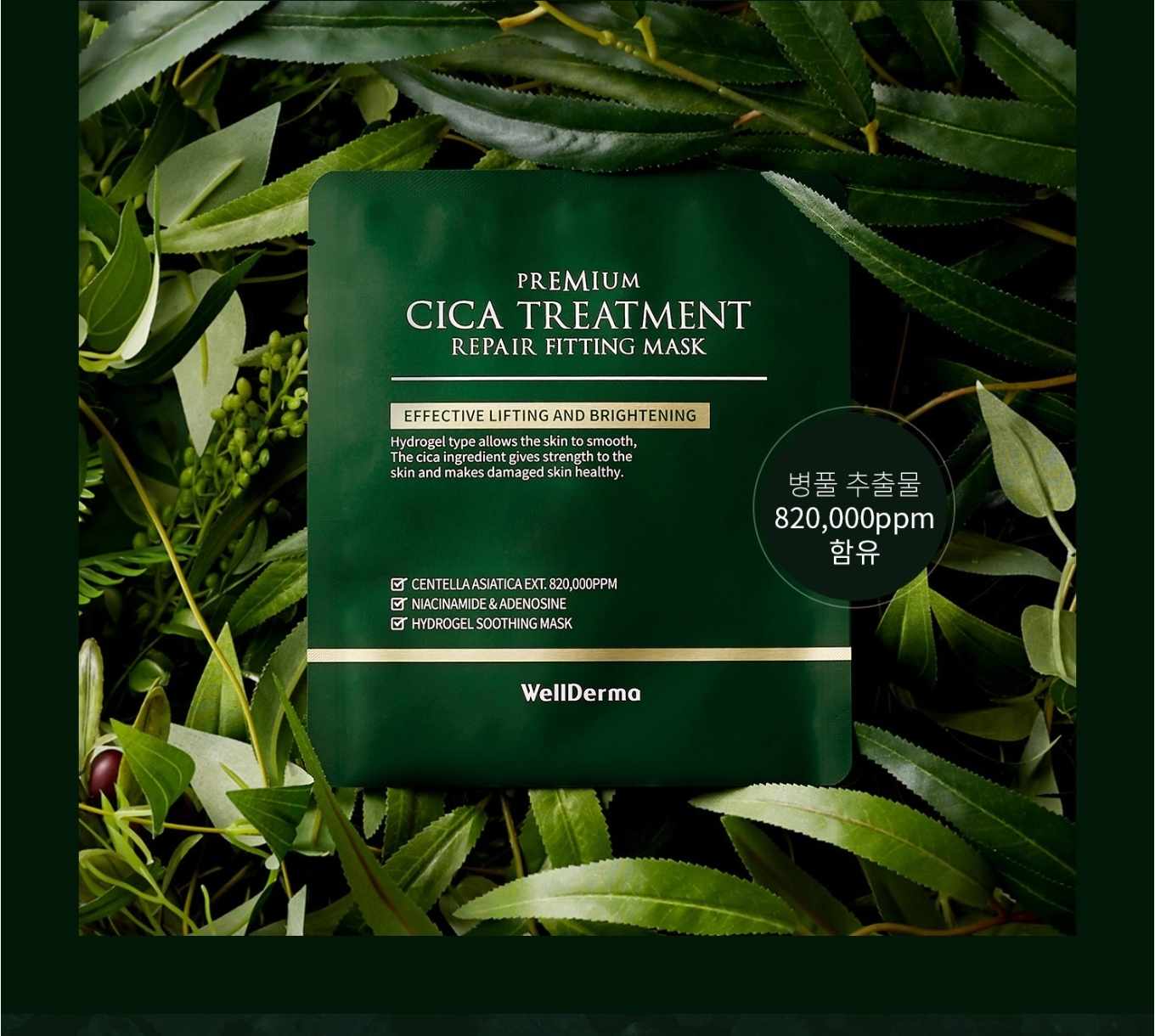 WellDerma Premium Cica Treatment Repair Fitting Mask - DTK Nail Supply