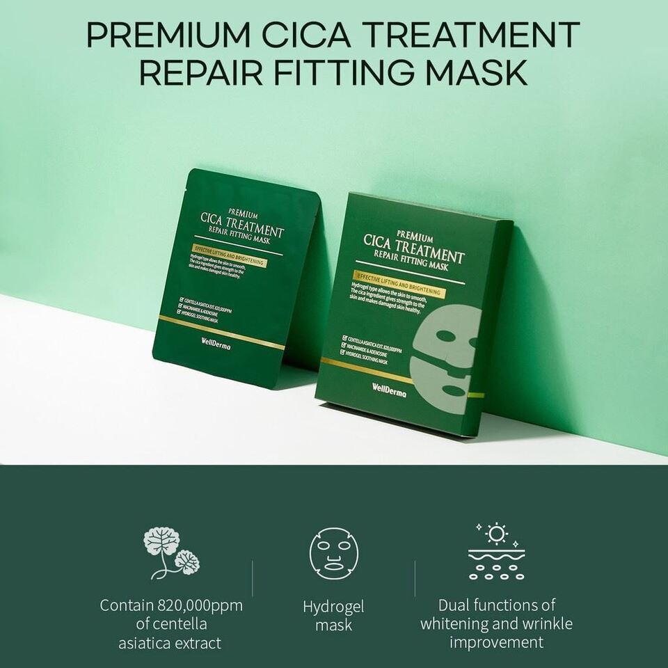 WellDerma Premium Cica Treatment Repair Fitting Mask - DTK Nail Supply