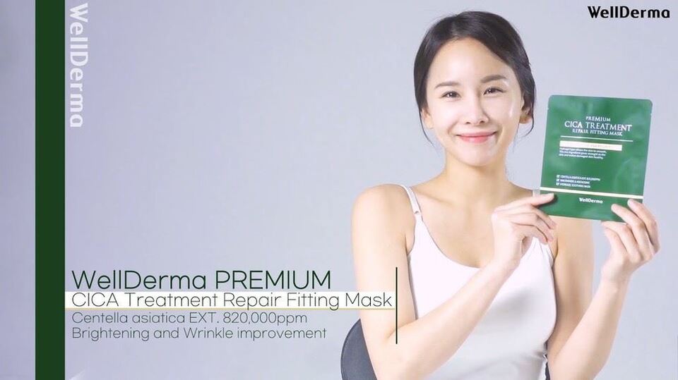 WellDerma Premium Cica Treatment Repair Fitting Mask - DTK Nail Supply