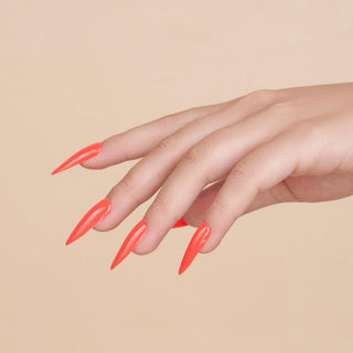  Lavis Acrylic Powder - 096 Watermelon Sugar High - Red, Orange Colors by LAVIS NAILS sold by DTK Nail Supply
