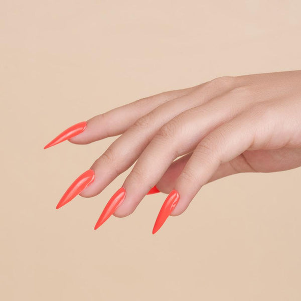  Lavis Acrylic Powder - 096 Watermelon Sugar High by LAVIS NAILS sold by DTK Nail Supply