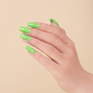  LDS Hema Free Gel Polish Set (8 colors): 098 to 105 by LDS sold by DTK Nail Supply