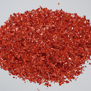  LDS Irregular Flakes Glitter DIG10 0.5 oz by LDS sold by DTK Nail Supply