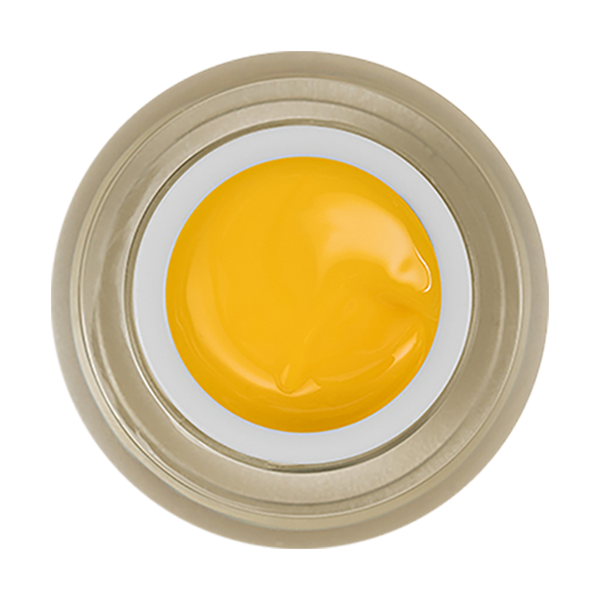  LDS Painting Gel Nail Art - 0.5oz Yellow 12 by LDS sold by DTK Nail Supply