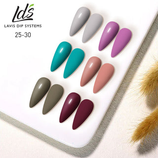  LDS Healthy Gel & Matching Lacquer Starter Kit: 025,026,027,028,029,030,Base,Top & Strengthener by LDS sold by DTK Nail Supply