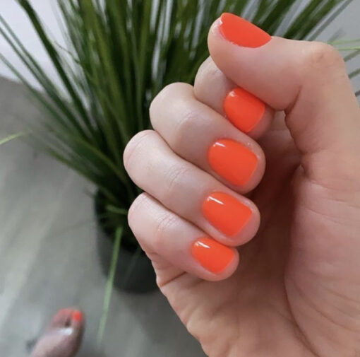 DND DC Gel Polish - 272 Orange Colors - Hot Mess by DND DC sold by DTK Nail Supply