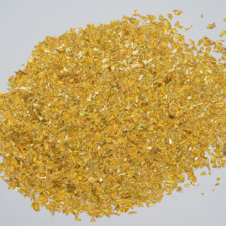  LDS Irregular Flakes Glitter DIG09 0.5 oz by LDS sold by DTK Nail Supply