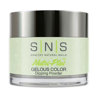 SNS Dipping Powder Nail - AC11 - Neutral Colors by SNS sold by DTK Nail Supply