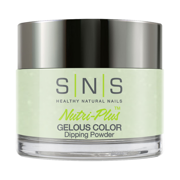 SNS Dipping Powder Nail - AC11 - 1oz by SNS sold by DTK Nail Supply