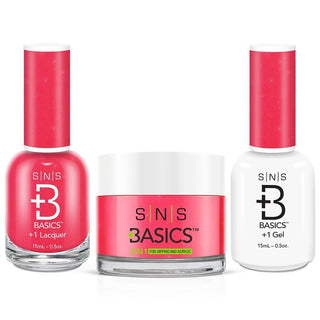  SNS Basics 3 in 1 - Basics 004 by SNS sold by DTK Nail Supply