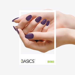  SNS Basics Dipping & Acrylic Powder - Basics 065 by SNS Basic sold by DTK Nail Supply
